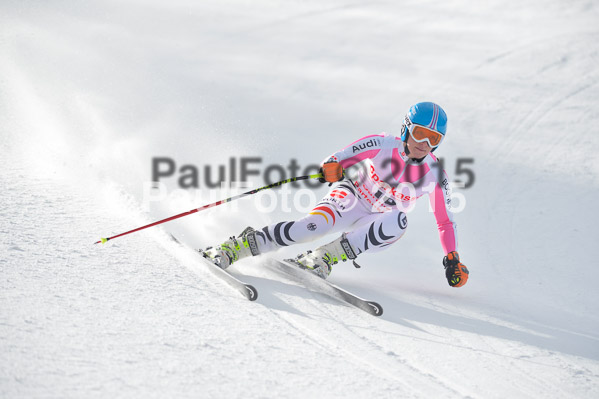 Int. Dt. Meisterschaft Abfahrt 2015