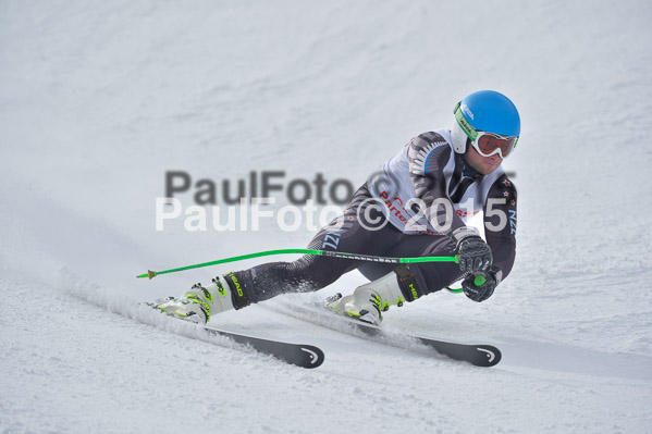 Int. Dt. Meisterschaft Abfahrt 2015