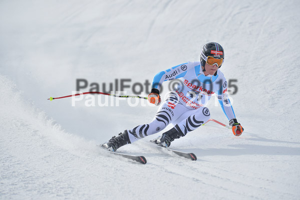 Int. Dt. Meisterschaft Abfahrt 2015