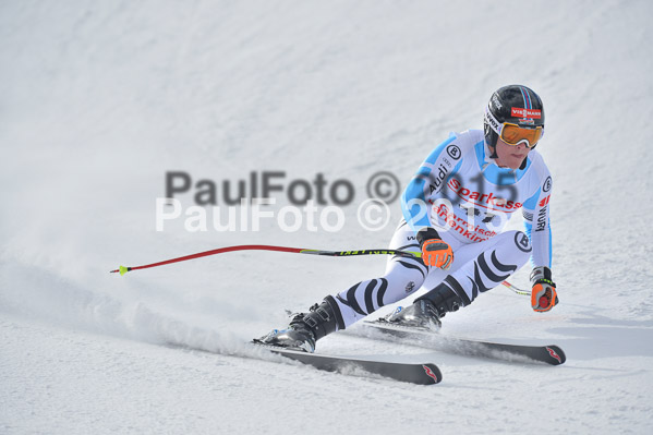 Int. Dt. Meisterschaft Abfahrt 2015