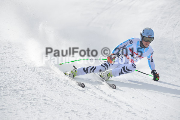 Int. Dt. Meisterschaft Abfahrt 2015