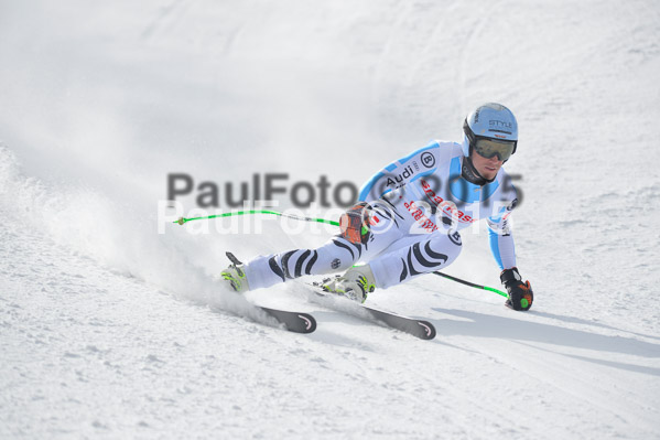 Int. Dt. Meisterschaft Abfahrt 2015