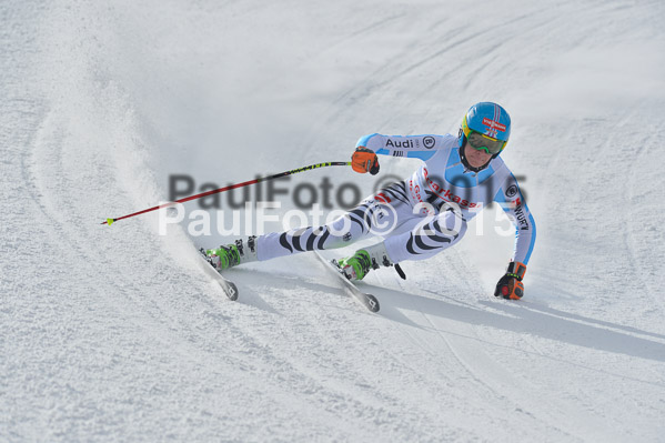 Int. Dt. Meisterschaft Abfahrt 2015