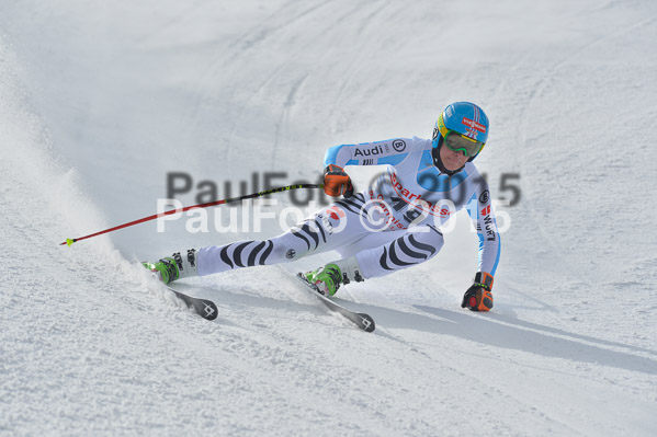 Int. Dt. Meisterschaft Abfahrt 2015