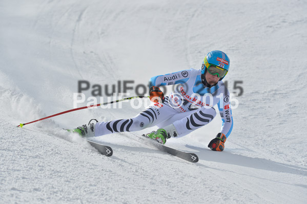 Int. Dt. Meisterschaft Abfahrt 2015