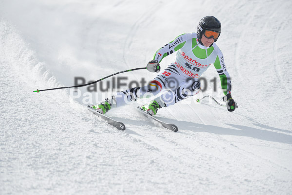Int. Dt. Meisterschaft Abfahrt 2015