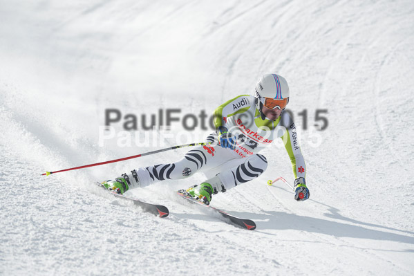 Int. Dt. Meisterschaft Abfahrt 2015