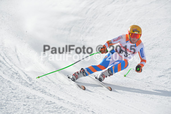 Int. Dt. Meisterschaft Abfahrt 2015