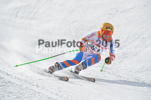 Int. Dt. Meisterschaft Abfahrt 2015