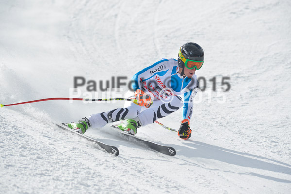 Int. Dt. Meisterschaft Abfahrt 2015