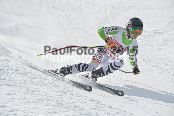Int. Dt. Meisterschaft Abfahrt 2015