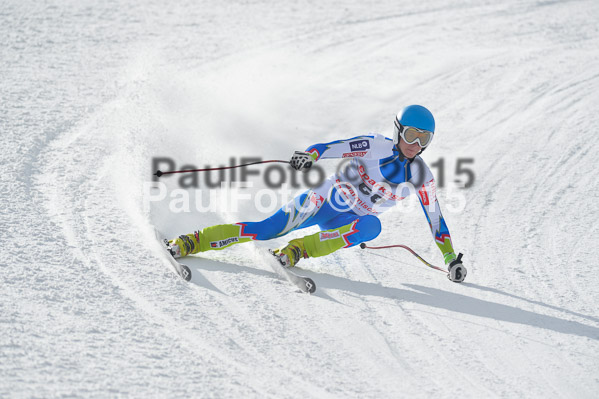 Int. Dt. Meisterschaft Abfahrt 2015