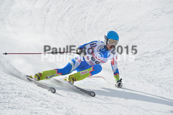 Int. Dt. Meisterschaft Abfahrt 2015