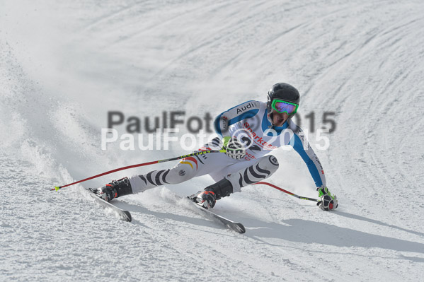 Int. Dt. Meisterschaft Abfahrt 2015