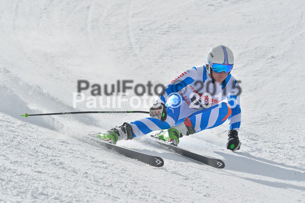 Int. Dt. Meisterschaft Abfahrt 2015