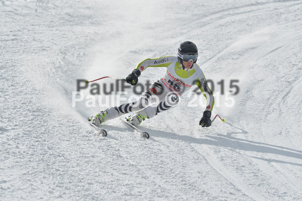 Int. Dt. Meisterschaft Abfahrt 2015