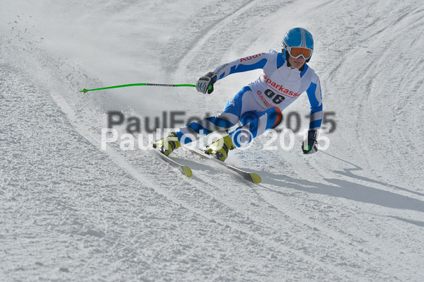 Int. Dt. Meisterschaft Abfahrt 2015
