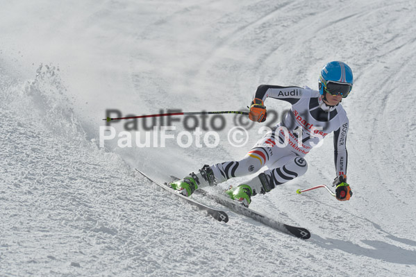 Int. Dt. Meisterschaft Abfahrt 2015