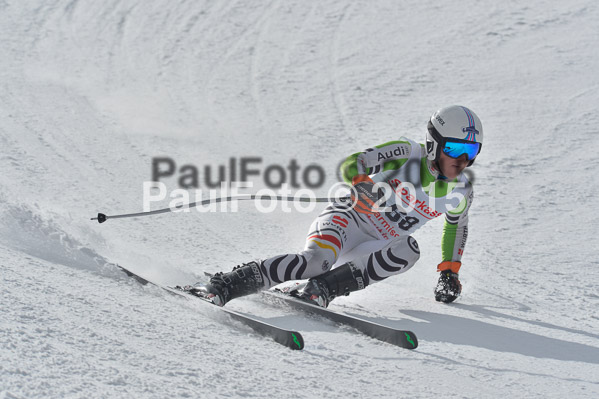 Int. Dt. Meisterschaft Abfahrt 2015