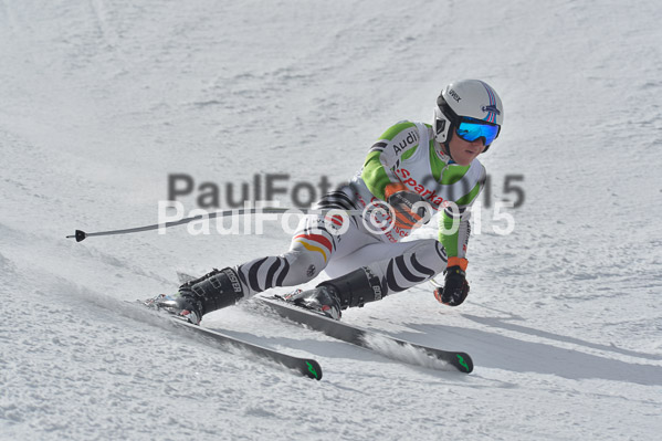 Int. Dt. Meisterschaft Abfahrt 2015