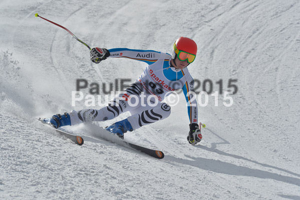 Int. Dt. Meisterschaft Abfahrt 2015