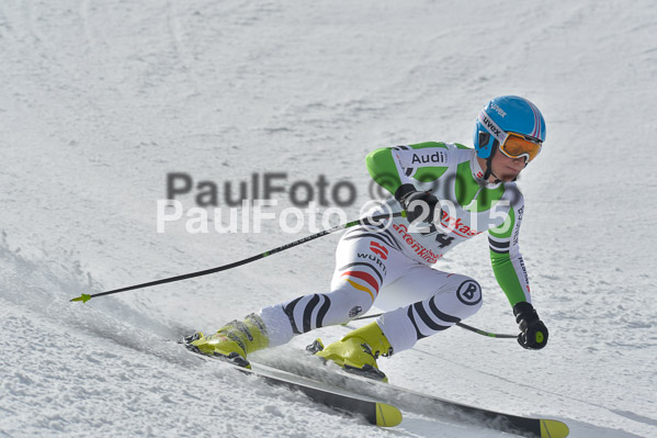 Int. Dt. Meisterschaft Abfahrt 2015
