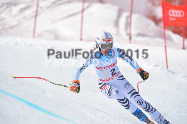 Int. Dt. Meisterschaft Abfahrt 2015