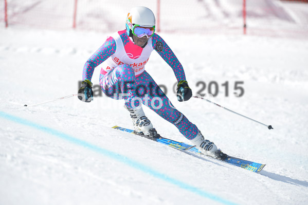 Int. Dt. Meisterschaft Abfahrt 2015
