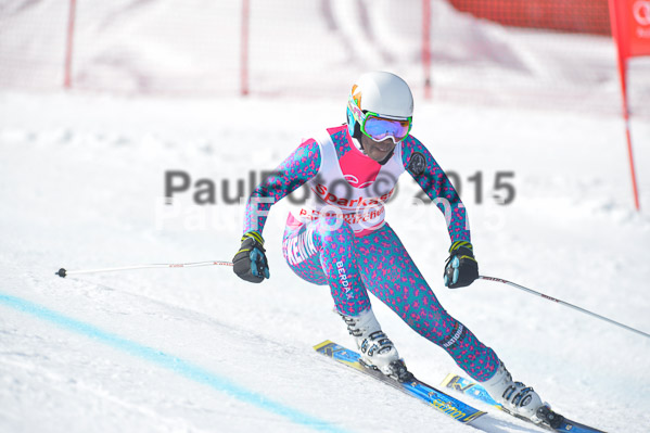 Int. Dt. Meisterschaft Abfahrt 2015