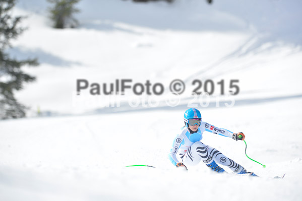 Int. Dt. Meisterschaft Abfahrt 2015