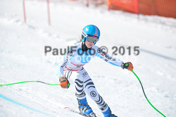 Int. Dt. Meisterschaft Abfahrt 2015