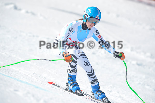 Int. Dt. Meisterschaft Abfahrt 2015