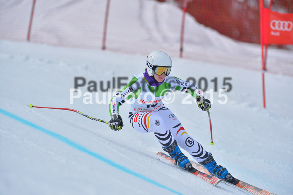 Int. Dt. Meisterschaft Abfahrt 2015