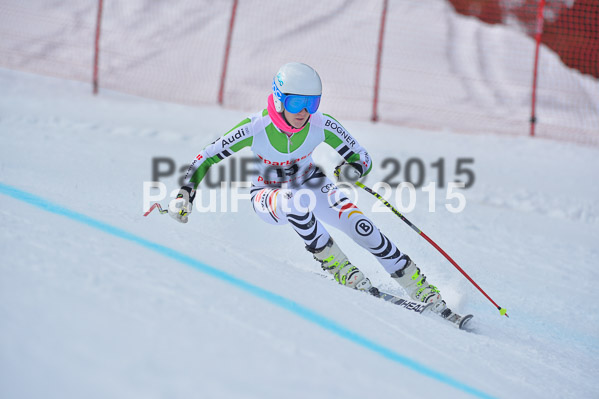 Int. Dt. Meisterschaft Abfahrt 2015