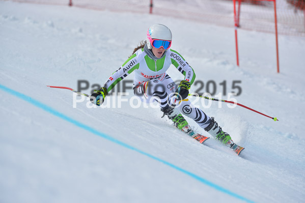 Int. Dt. Meisterschaft Abfahrt 2015