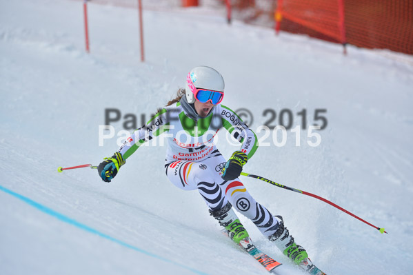 Int. Dt. Meisterschaft Abfahrt 2015