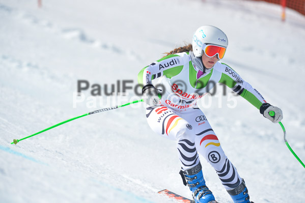 Int. Dt. Meisterschaft Abfahrt 2015