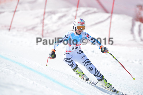 Int. Dt. Meisterschaft Abfahrt 2015