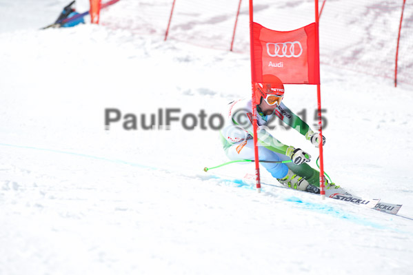 Int. Dt. Meisterschaft Abfahrt 2015