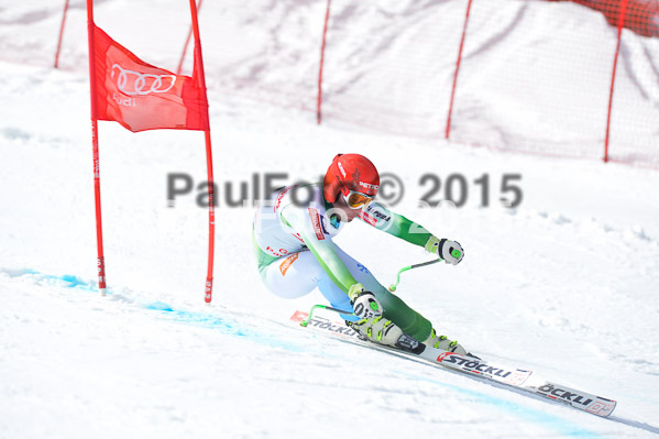 Int. Dt. Meisterschaft Abfahrt 2015