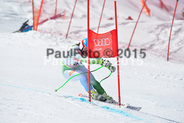 Int. Dt. Meisterschaft Abfahrt 2015