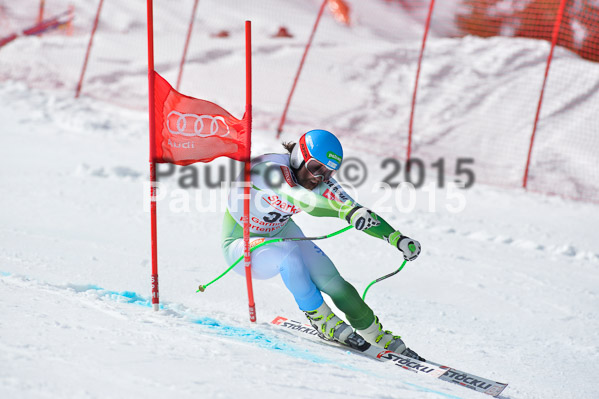 Int. Dt. Meisterschaft Abfahrt 2015