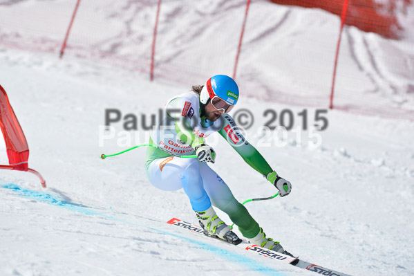 Int. Dt. Meisterschaft Abfahrt 2015