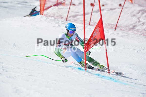 Int. Dt. Meisterschaft Abfahrt 2015