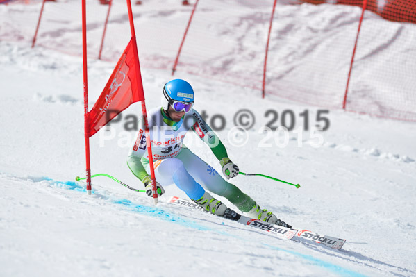 Int. Dt. Meisterschaft Abfahrt 2015