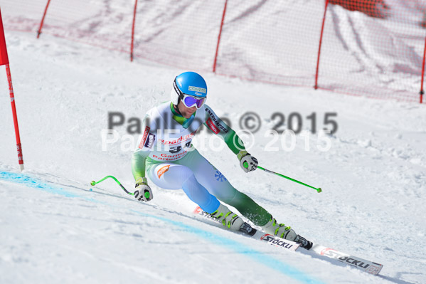 Int. Dt. Meisterschaft Abfahrt 2015
