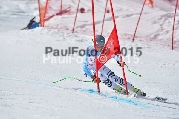 Int. Dt. Meisterschaft Abfahrt 2015