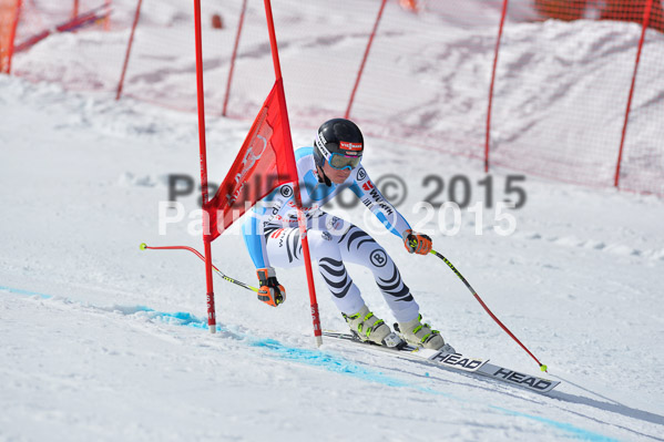 Int. Dt. Meisterschaft Abfahrt 2015