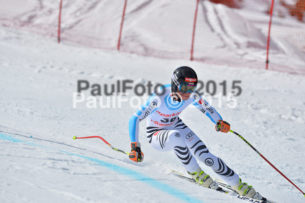 Int. Dt. Meisterschaft Abfahrt 2015