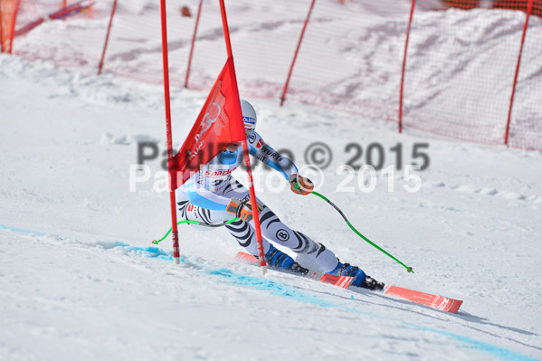 Int. Dt. Meisterschaft Abfahrt 2015